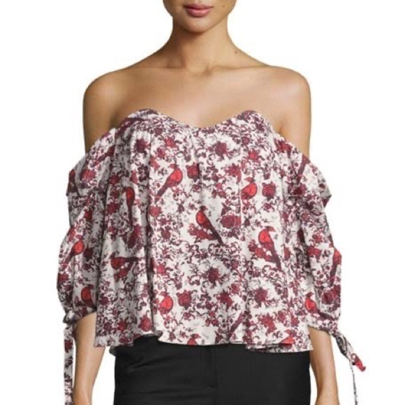 Caroline Constas Gabriella Off-the-Shoulder Bird & Floral Bustier Top - Picture 1 of 6